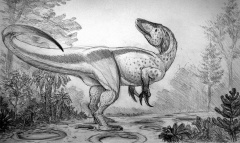 † Megaraptor namunhuaiquii(vor etwa 93,9 bis 89,7 Millionen Jahren)